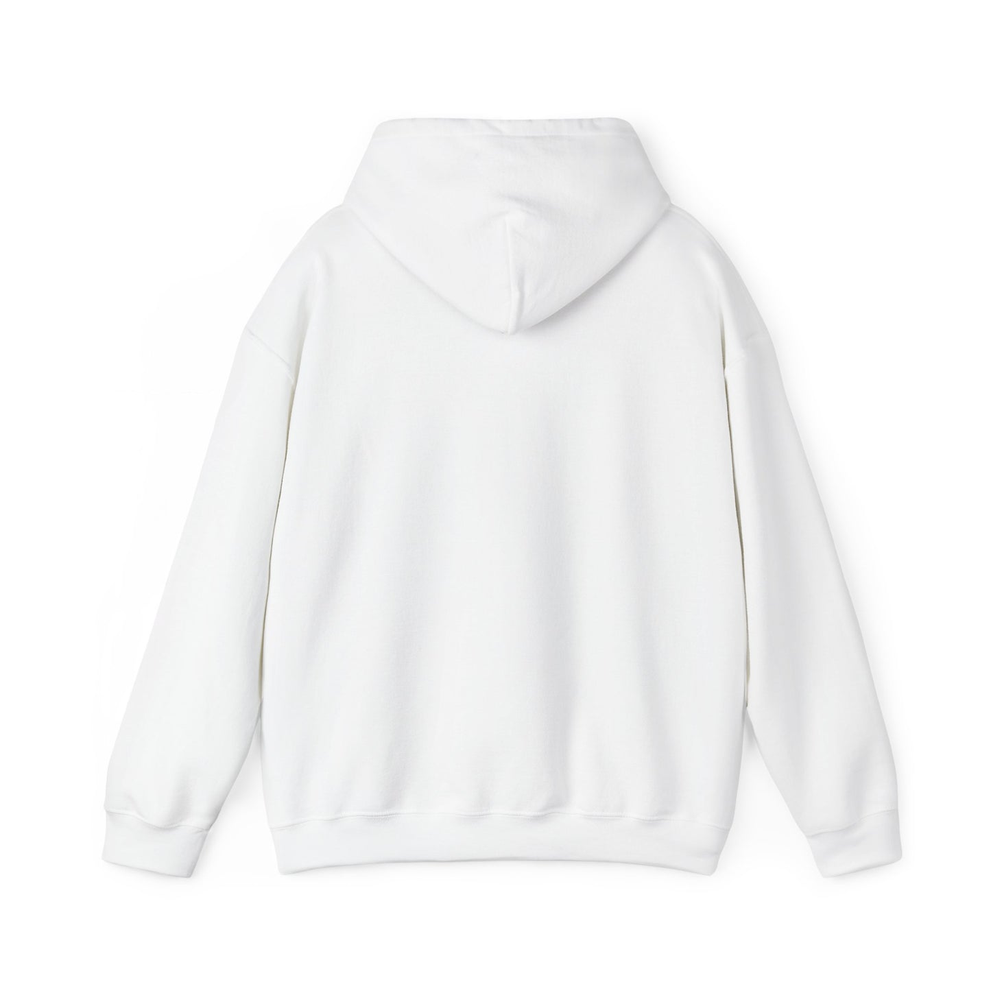 Classic 313 Hoodie