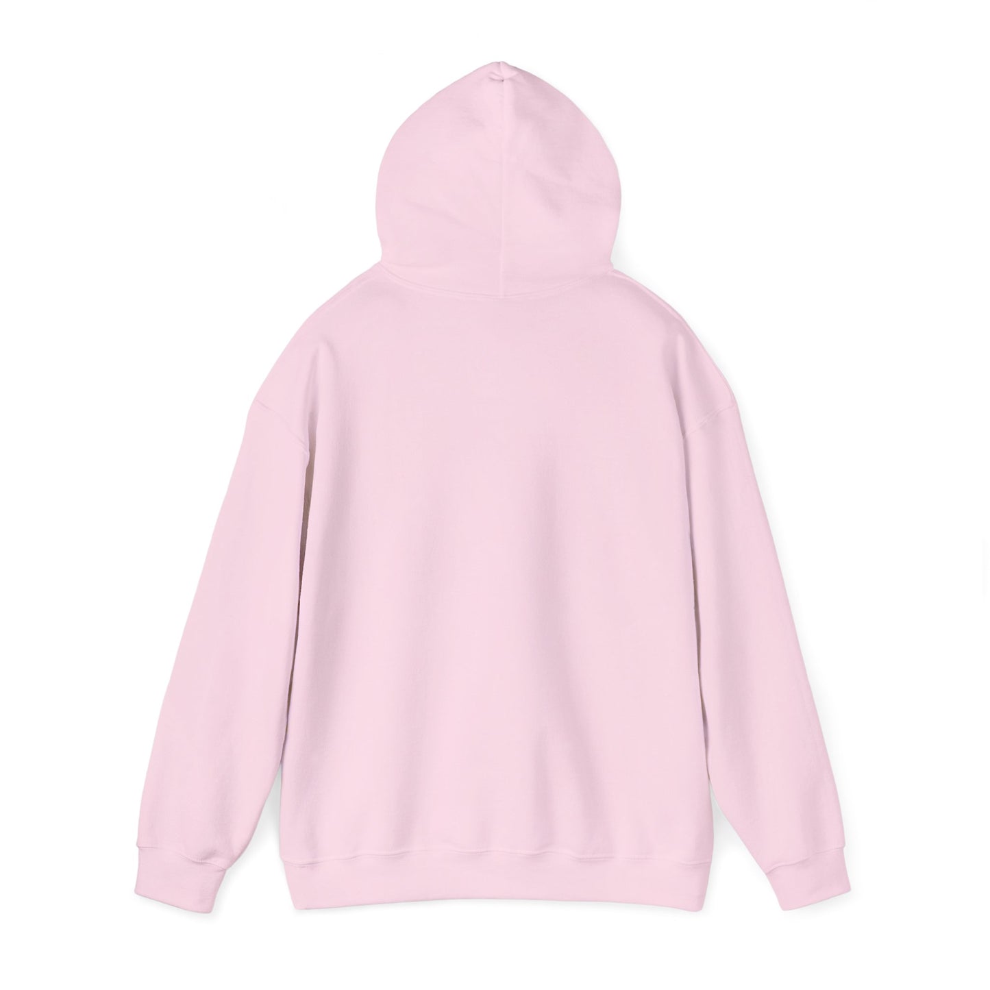 Classic 202 Hoodie