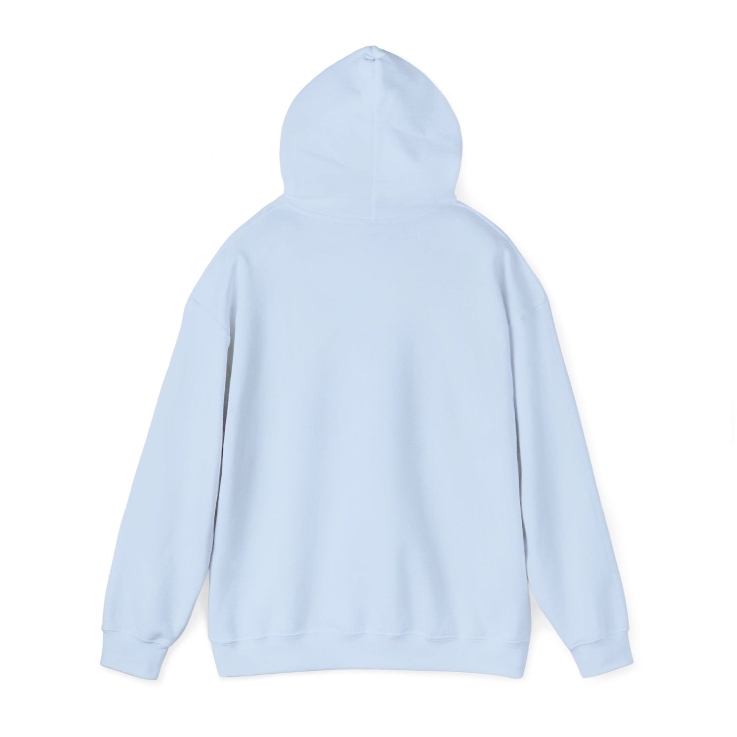 Classic 410 Hoodie