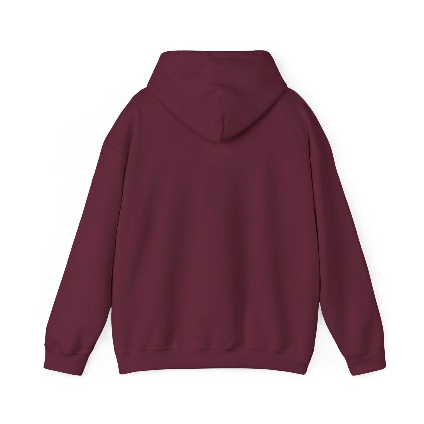 Classic 713 Hoodie
