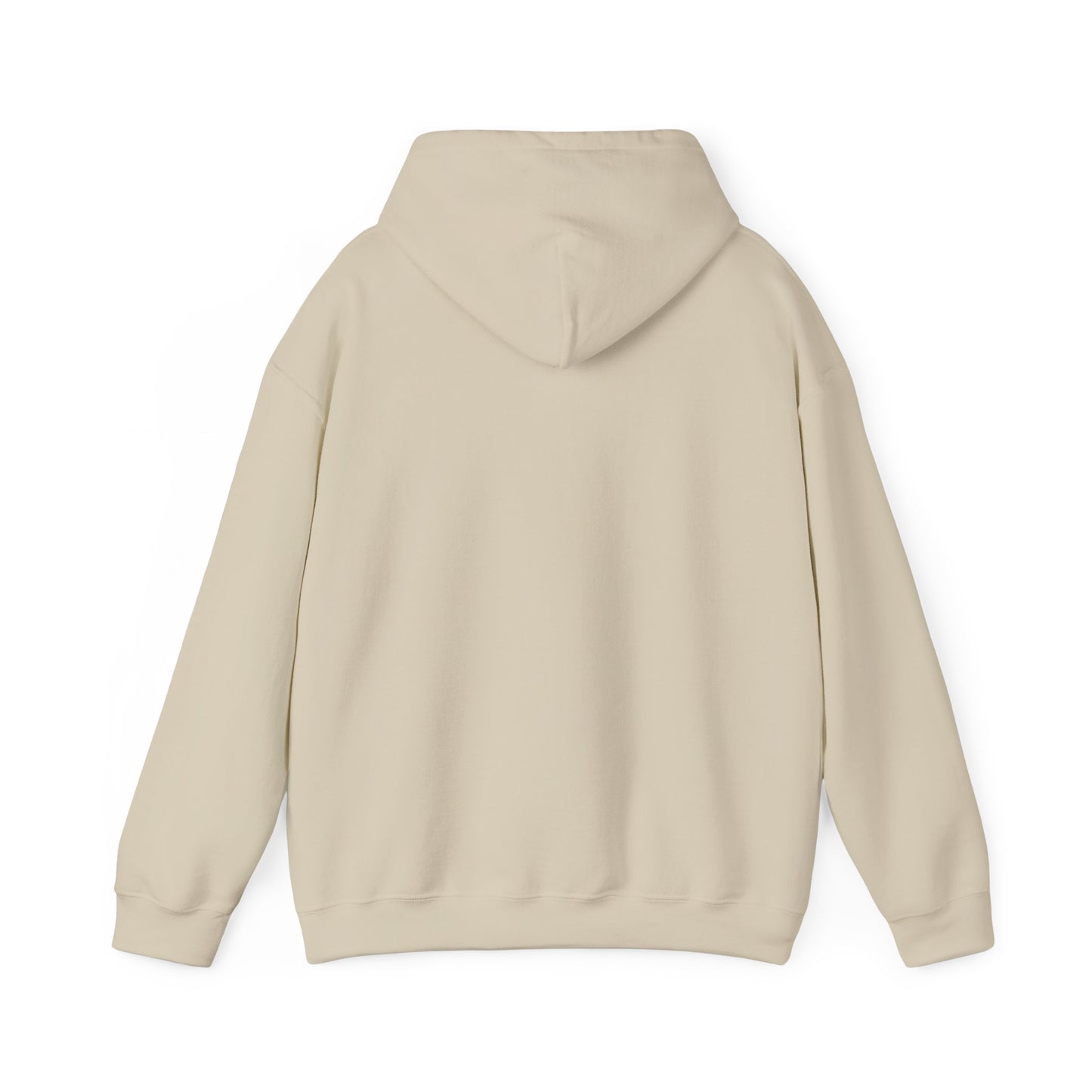 Classic 313 Hoodie