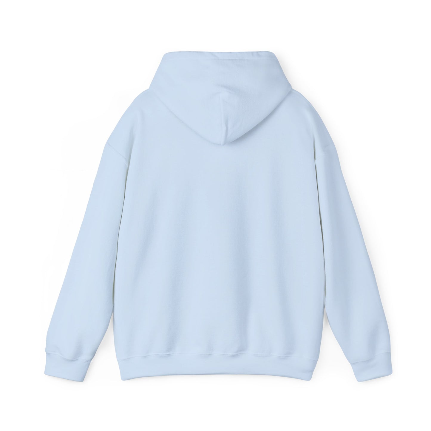 Classic 410 Hoodie