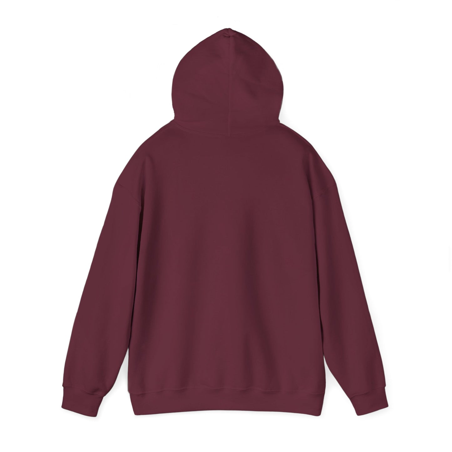 Classic 202 Hoodie