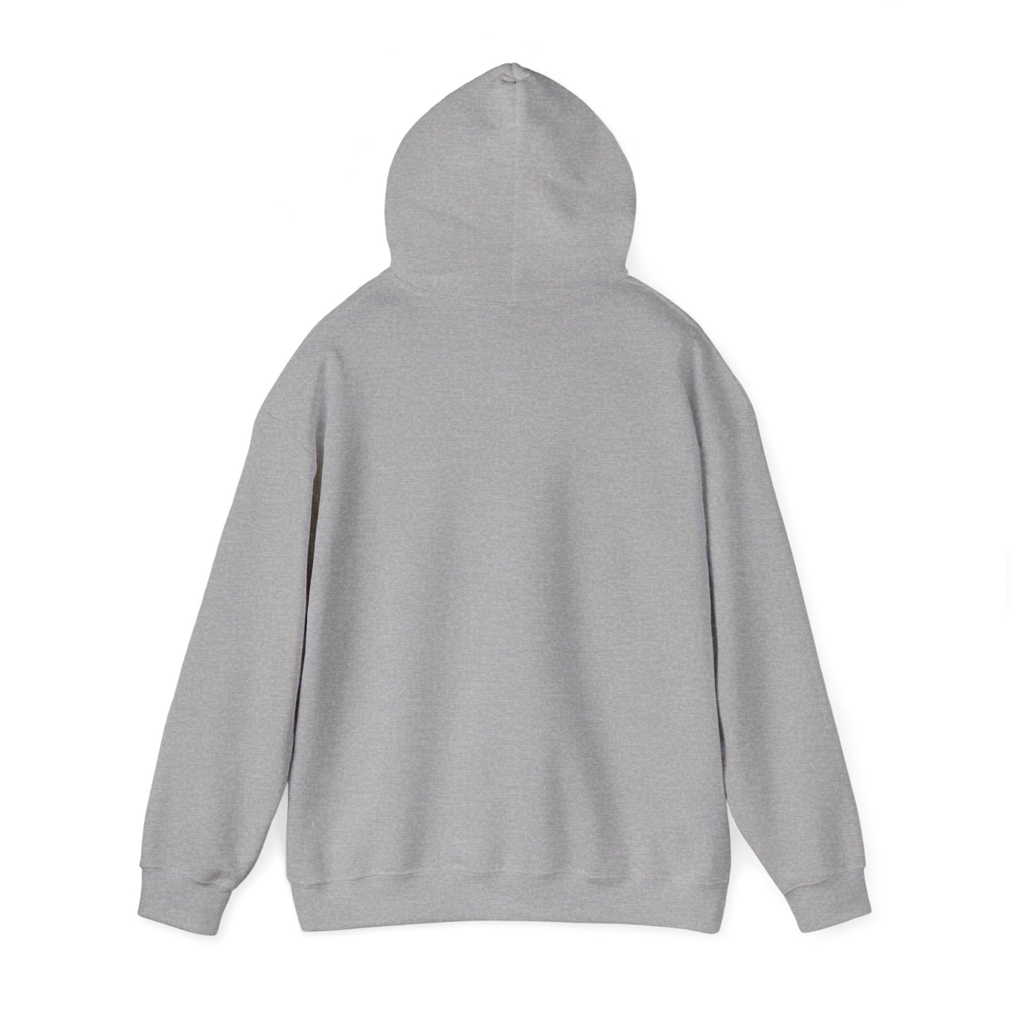 Classic 410 Hoodie