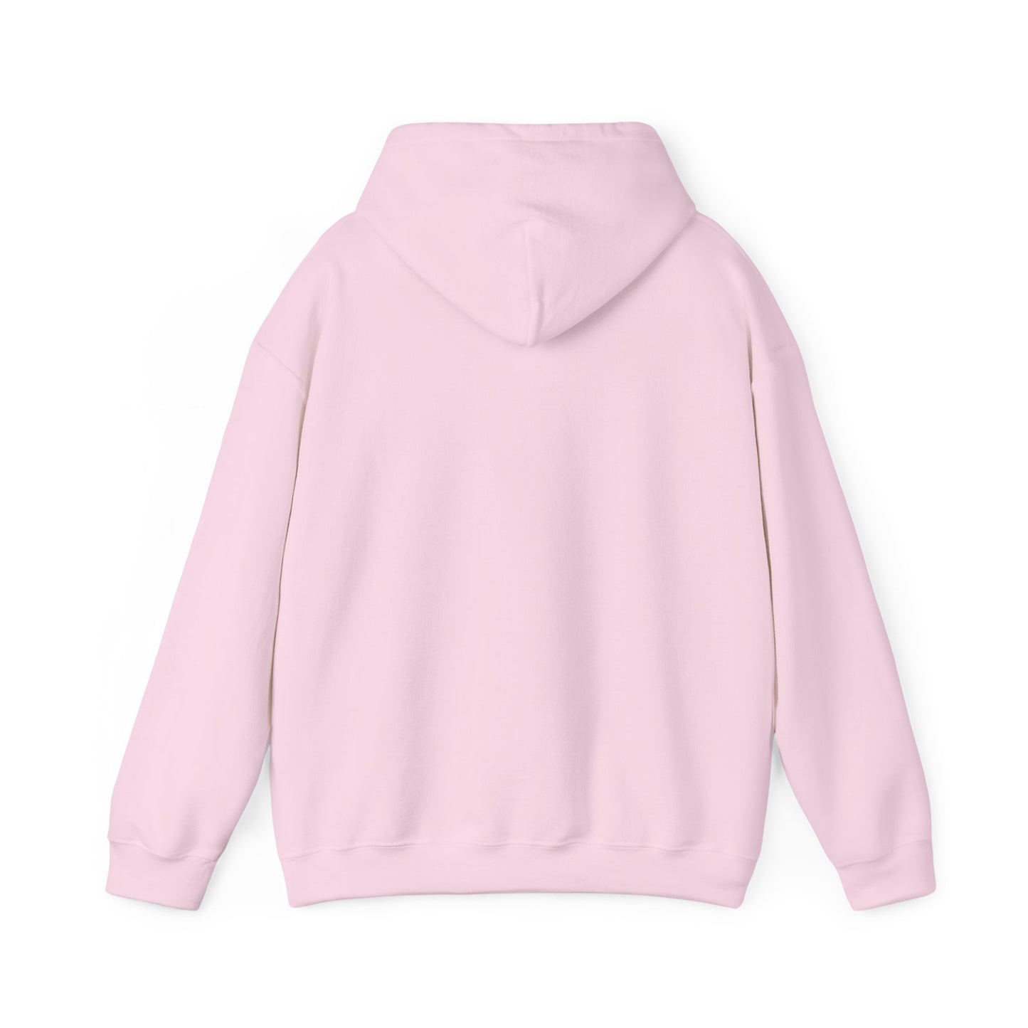 Classic 410 Hoodie