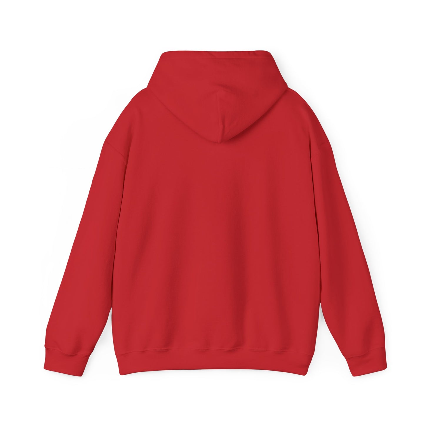 Classic 410 Hoodie